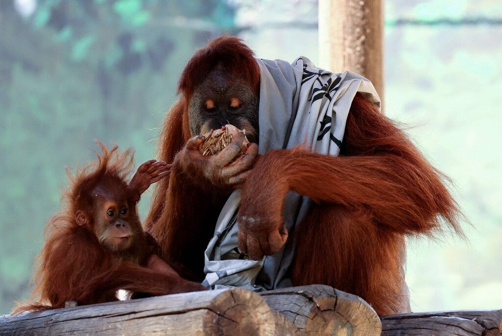 Was Mama wohl frisst?