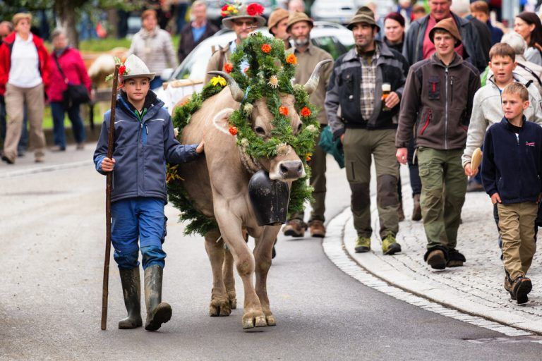 Termine. Alpabtriebe im Montafon