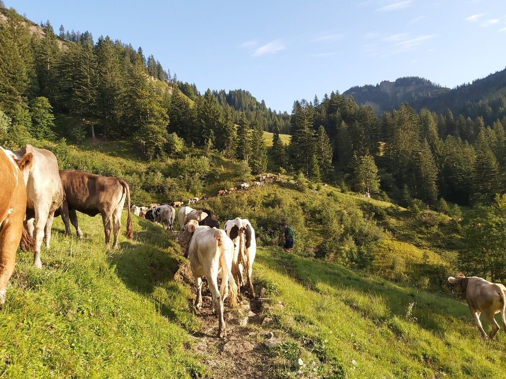 Alpsommer zu Ende