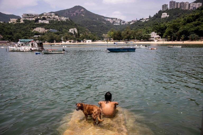 Gemeinsam mit seinem Hund kühlt sich ein Strandbesucher in Hongkong im Meerwasser ab. AFP