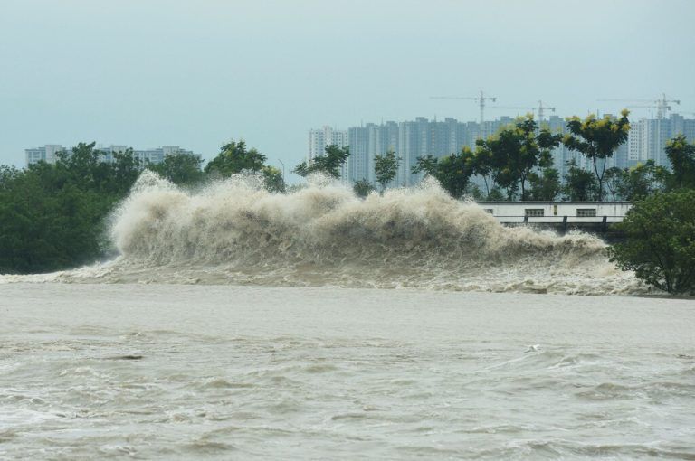 In der Bucht von Hangzhou verursachte „Muifa“ riesige Wellen.afp