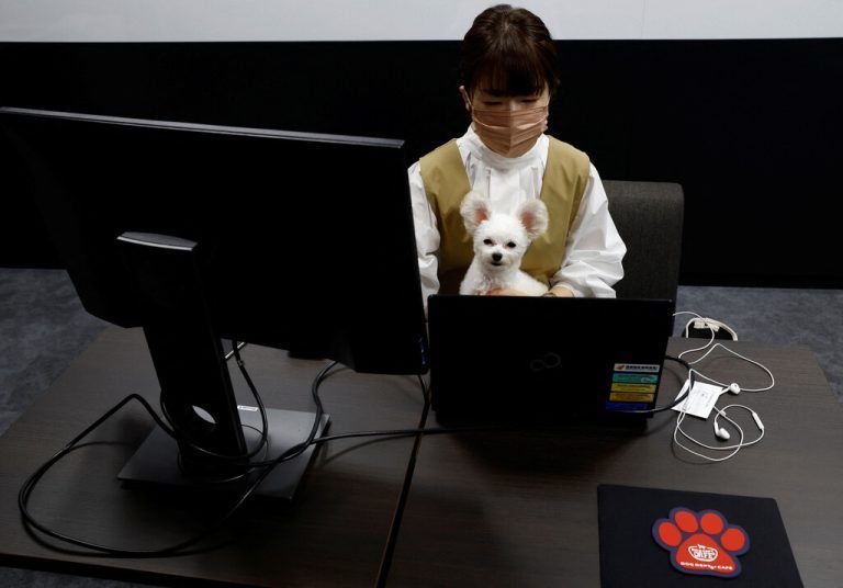Japan probiert „Hundebüros“ aus. Sie sind von den üblichen Arbeitsbereichen getrennt, so wie hier in Kawasaki. Reuters