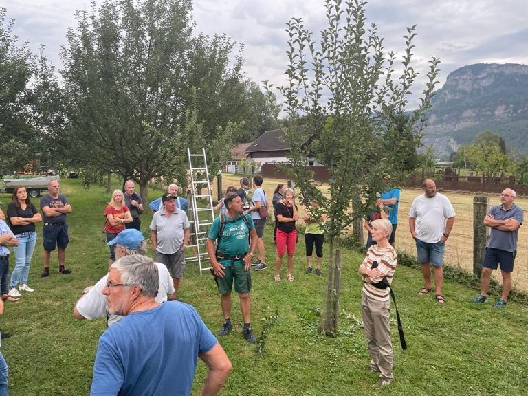 Teilnehmer am Sommerschnittkurs. OGV Hohenems