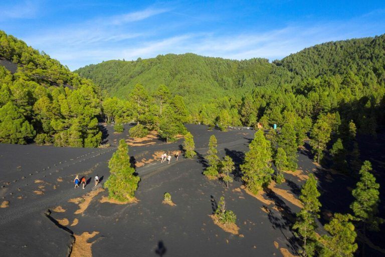 Zumindest die Natur auf La Palma erholt sich gut. ap