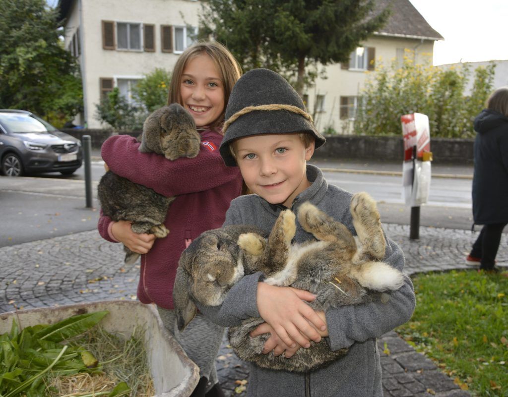 In dieser Dornbirner Pfarre erhalten Haustiere den Segen