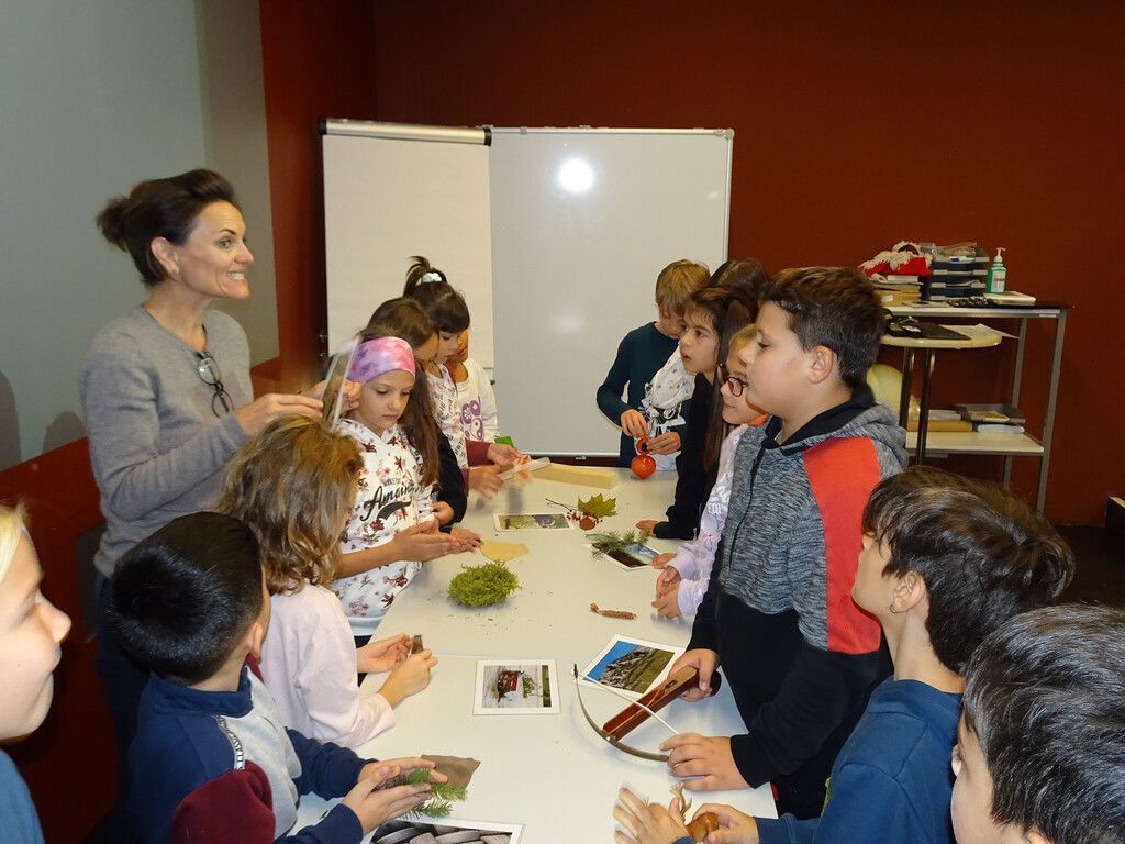 Willkommen bei der Wald-Millionenshow
