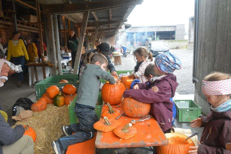 Die Kinder vergnügten sich beim Kürbisschnitzen.bvs (3)