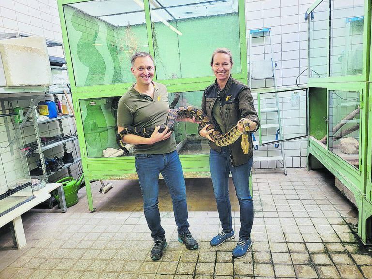 Auf Erholung im Wildpark