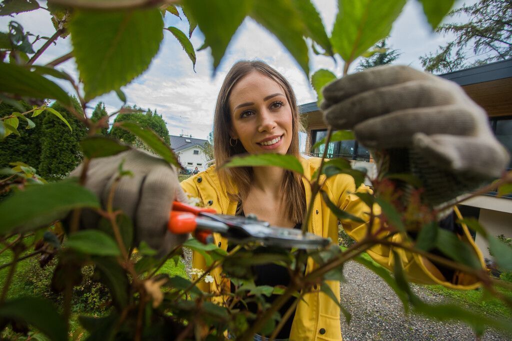 Herbstzeit ist Gartenzeit. So blüht der Garten im Frühling wieder so richtig auf. »A8