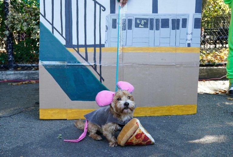 Hotdog, Gladiator oder Chefkoch
