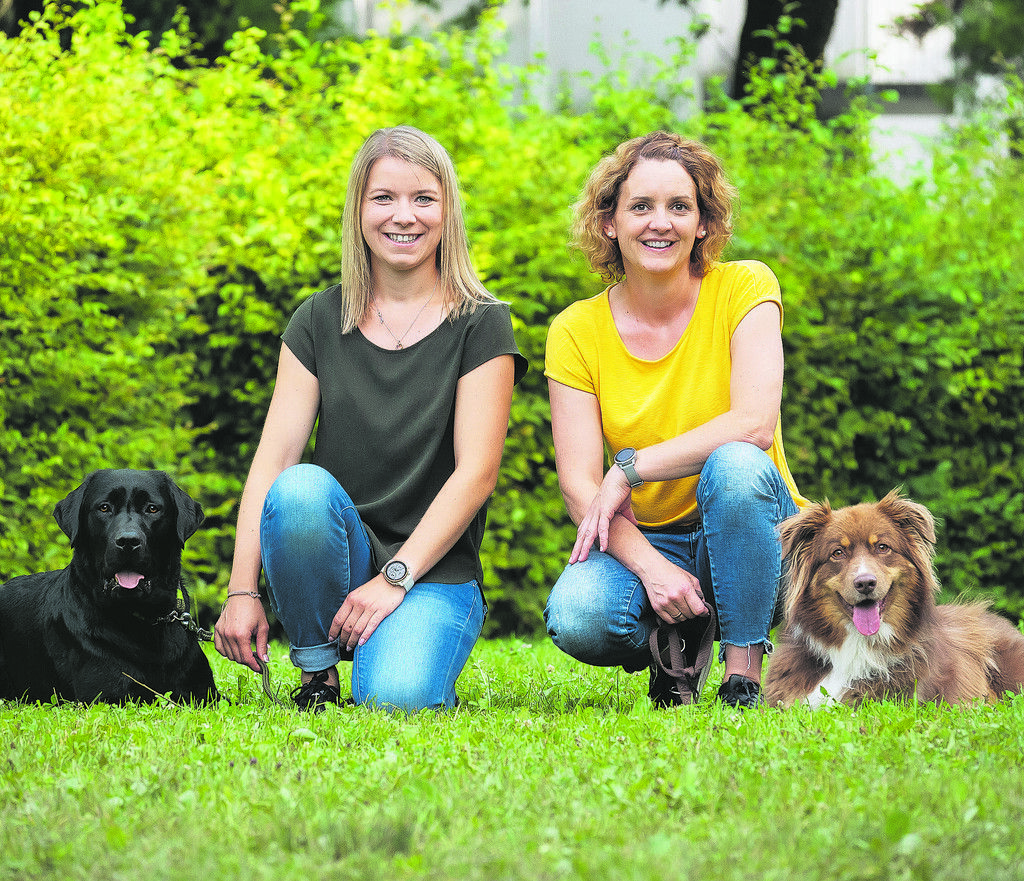 Zwei tierische Lernhelfer
