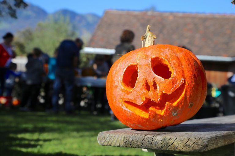 Halloween nähert sich und so werden in Meiningen wieder Fratzen in Kürbisse geschnitzt.TAY