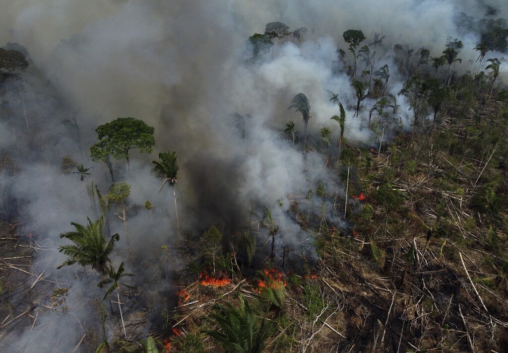 Schwerste Brände im Amazonasgebiet seit zwölf Jahren