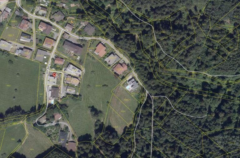 © Land Vorarlberg: data.vorarlberg.gv.at, BEv (DKM); maps4news