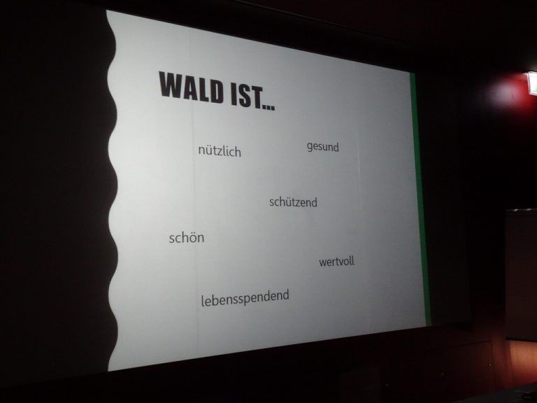 Was der Wald alles kann und was ihn ausmacht, wurde den Schülern vermittelt.