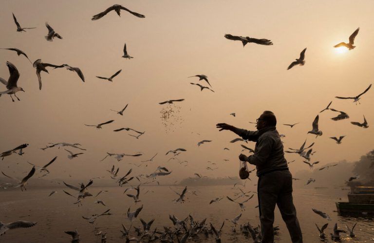 Bei dichtem Smog füttert ein Mann am Ufer des Yamuna Flusses in der indischen Megastadt Delhi Vögel.
