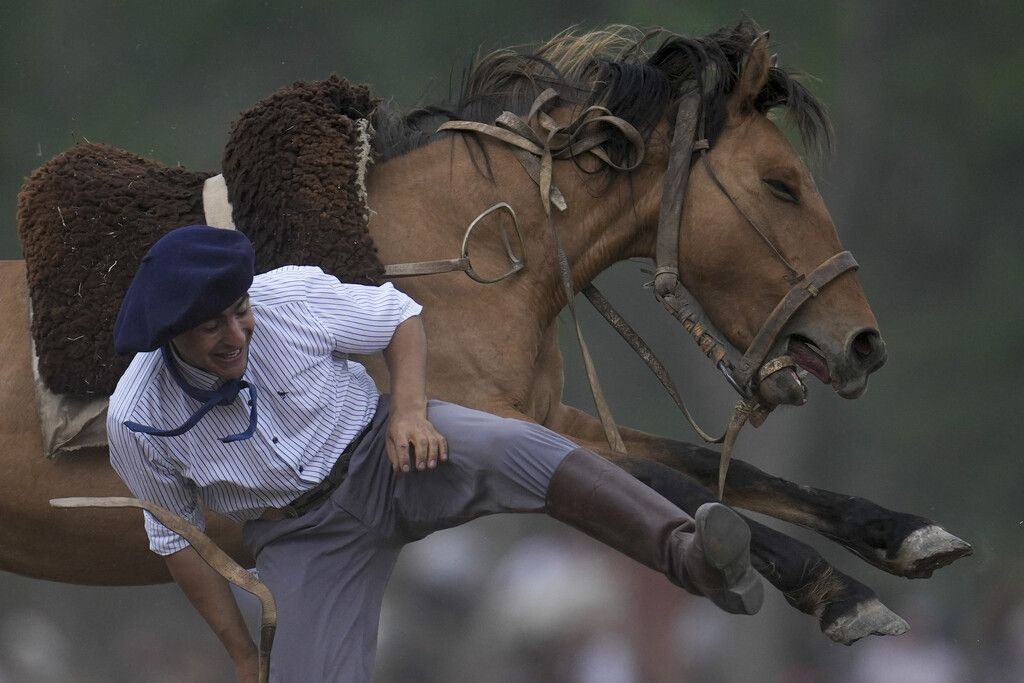 Bilder des Tages