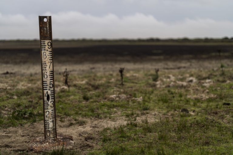 Die Lagunen im Doñana-Nationalpark versiegen, die meisten Tiere sind verschwunden. AFP
