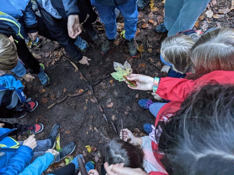 Die Schüler des BG Lustenau besuchten die Waldschule im Bregenzer Stadtwald.