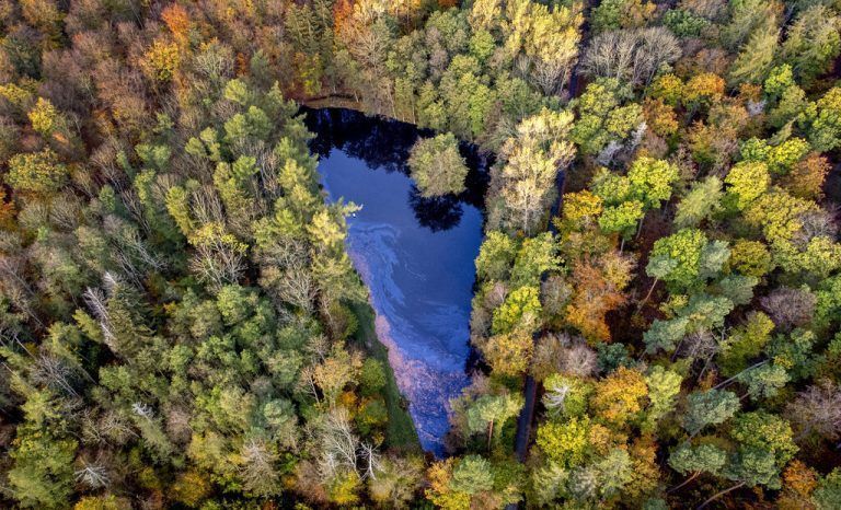 Diese herbstliche Aufnahme eines kleinen Sees stammt aus Usingen in der Nähe von Frankfurt. AP