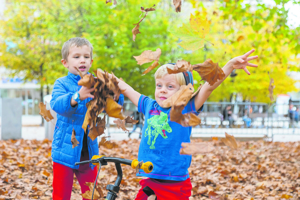 Herbst, Herbst, hurra!