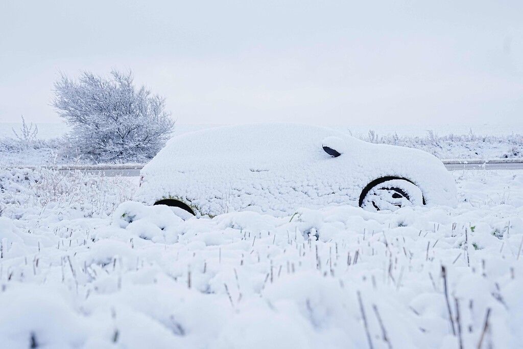 Bilder des Tages
