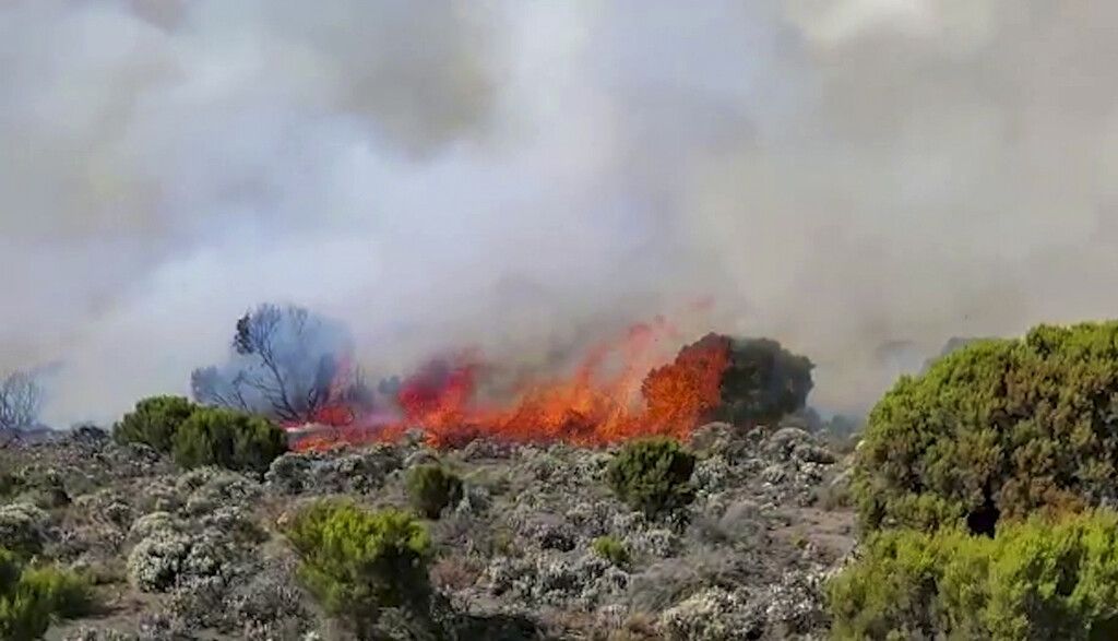 Kilimandscharo-Feuer zerstören Teile des Naturparks