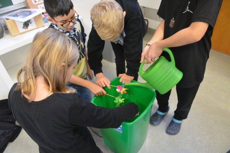 Die Kraft des Wassers wurde erforscht.