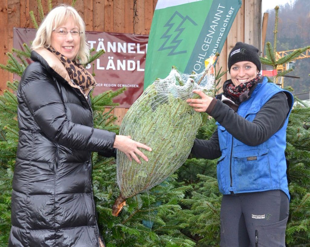 Tannenhof Wohlgenannt in Dornbirn verschenkt 150 Christbäume