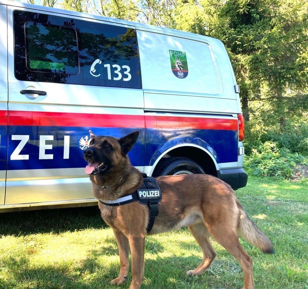 Vierbeiniger Kommissar spürte jugendliche Diebe am Tatort auf.