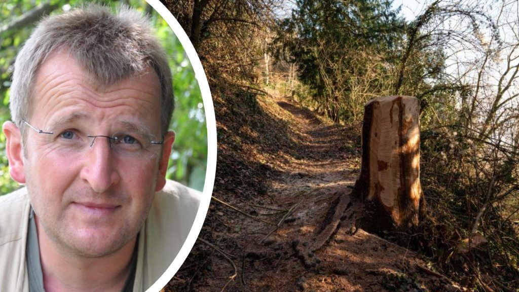 Vorarlbergs Wälder unter Druck