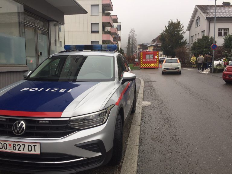 Die Polizei ermittelt bezüglich des aufgefundenen Waffenarsenals. <span class="copyright">vn/gs</span>
