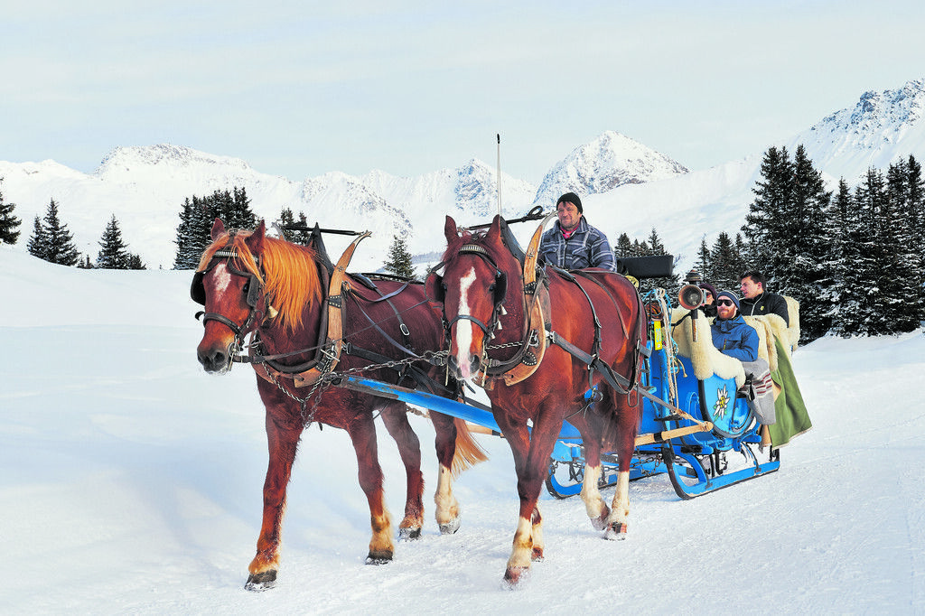 Idyllische Erlebnisreise mit Bahn und Pferdekutsche