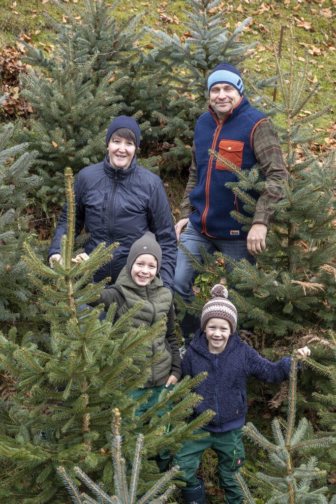 Die Christbaumzucht ist Familiensache: Karin und Markus Dünser mit ihren Söhnen Julian und Jakob. VN/RP