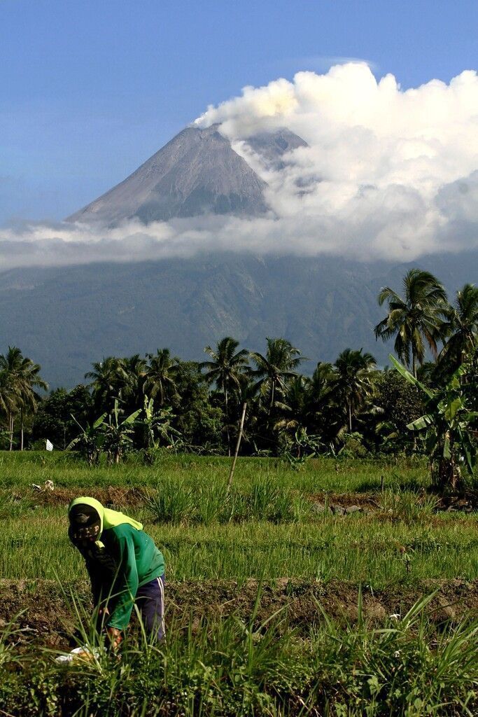 Ein Bauer arbeitet auf seinem Feld, während der Vulkan Merapi in Yogyakarta, Indonesien, Rauch in die Luft speit. AFP