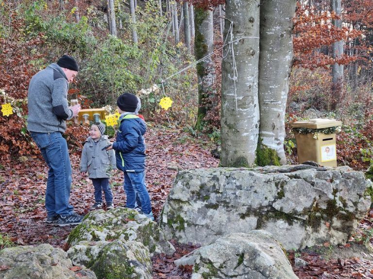 Winterlicher Weihnachtswald