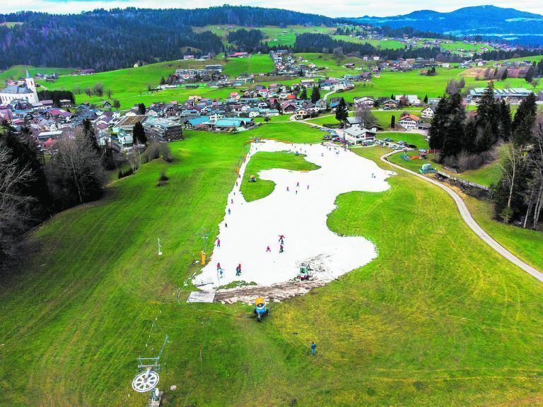 Skispaß im Grünen