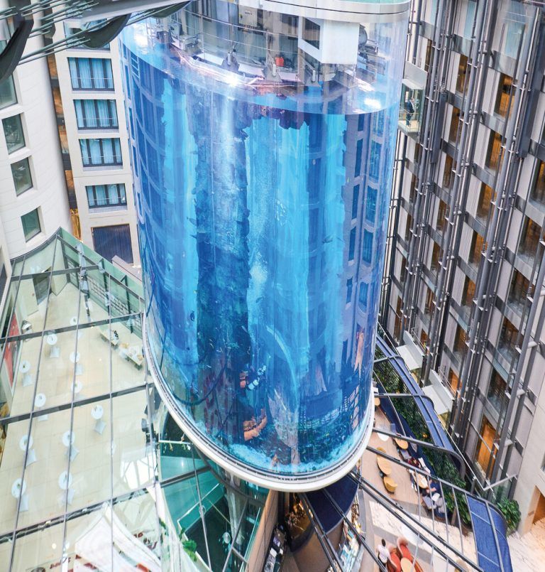In dem Riesenaquarium lebten 1500 Fische aus über 100 verschiedenen Arten. dpa