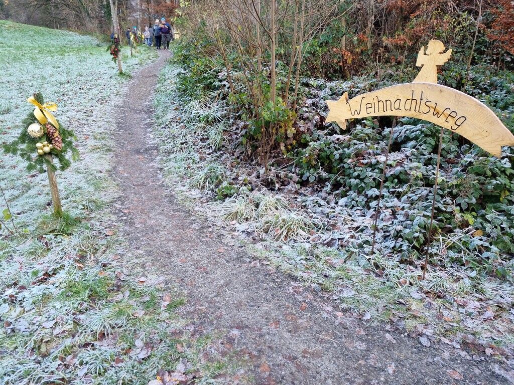 Winterlicher Weihnachtswald
