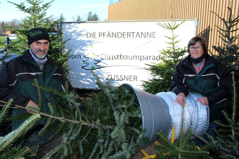 Seit 40 Jahren stehen Helga und Pius Zußner vom Pfänder mit ihren Christbäumen vor dem Spar.  bms