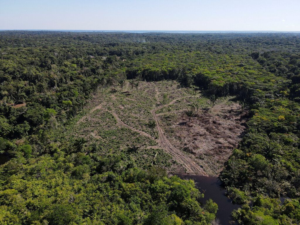 Weniger Abholzung im ­brasilianischen Amazonasgebiet