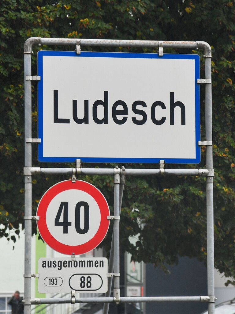 VN/Lerch