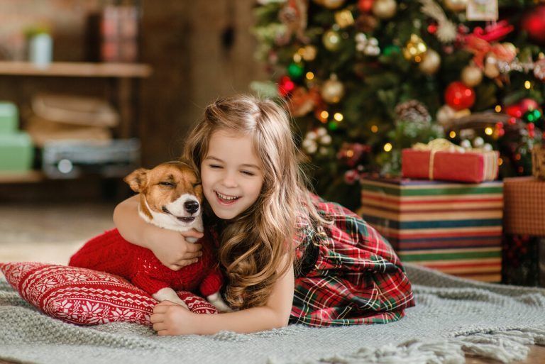 Wer Tiere zu Weihnachten schenkt, muss sich der Verantwortung bewusst sein.Shutterstock
