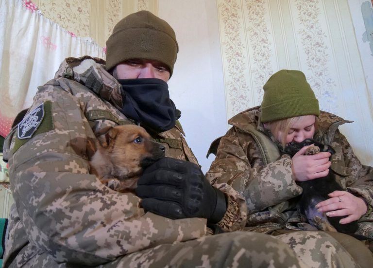 Zwei ukrainische Soldaten haben nahe der Frontlinie in der Region Donezk in der Ostukraine zwei Welpen gerettet. Reuters