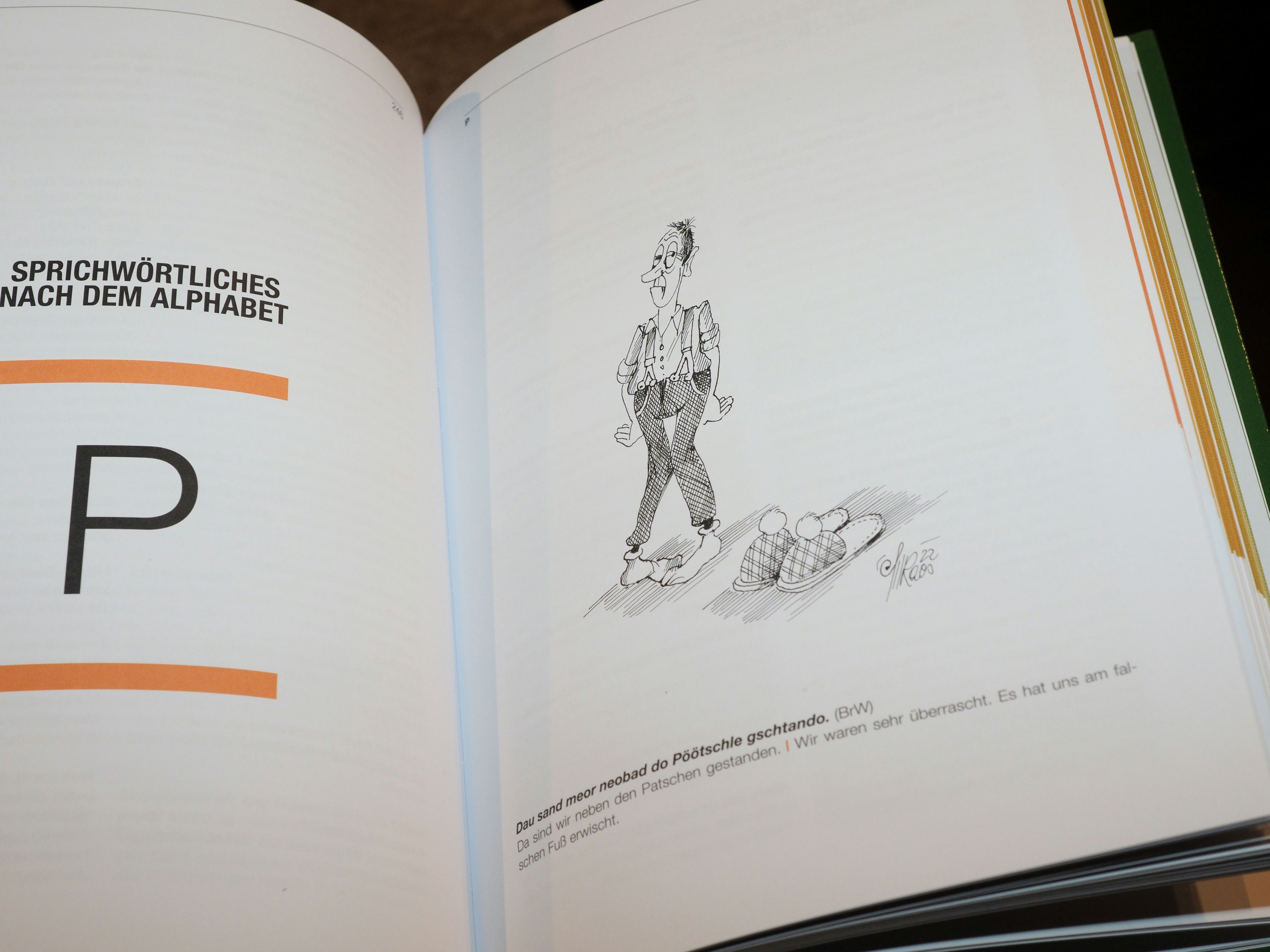 Witzige Illustrationen von VN-Karikaturist Silvio Raos. 