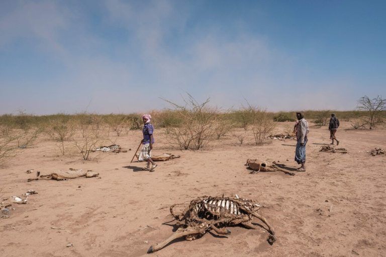 Die letzten fünf Regenzeiten sind ausgefallen. Die Menschen in Somalia, Kenia und Äthiopien (im Bild) leiden unter der extremen Dürre. AFP
