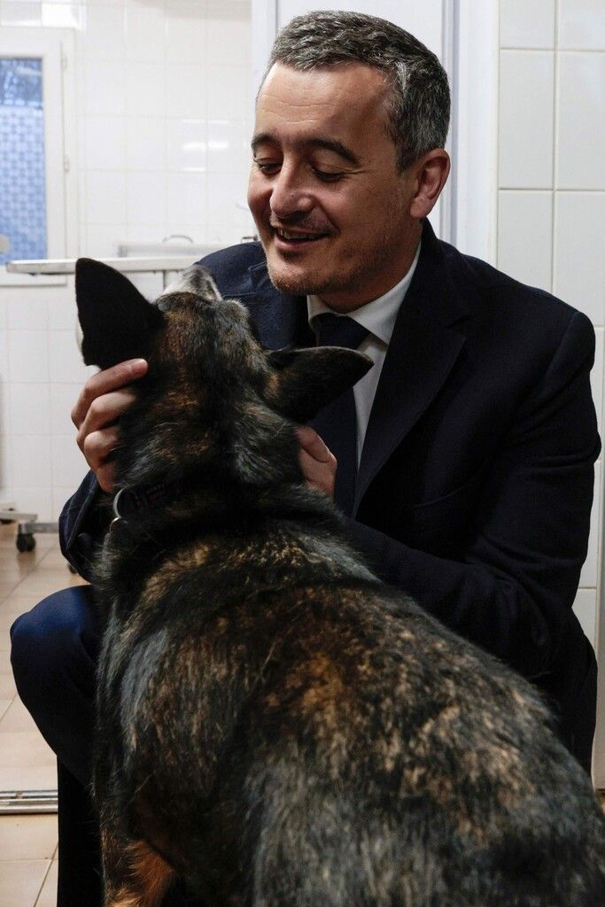 Ein sichtlich angenehmer Termin: Der französische Innenminister Gerald Darmanin besuchte ein Tierheim in Paris. AFP
