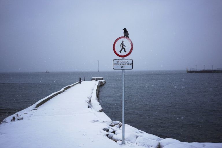 Eine Krähe sitzt bei Schneefall an der Ostsee-Küste in Tallinn, der Hauptstadt Estlands, auf einem Schild. AP