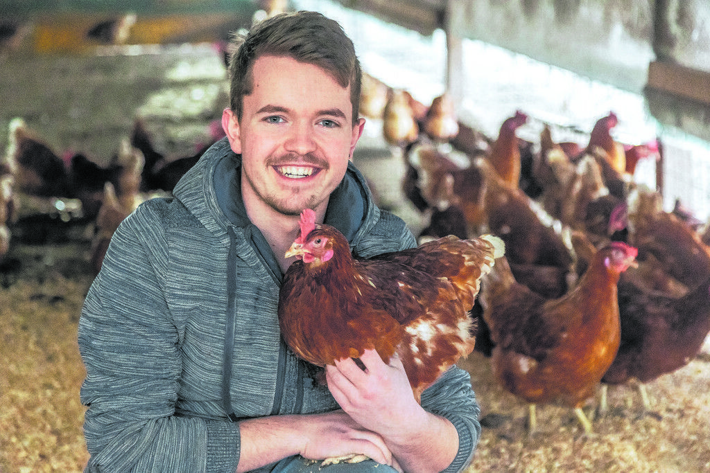 Stubenarrest für Vorarlbergs Geflügel