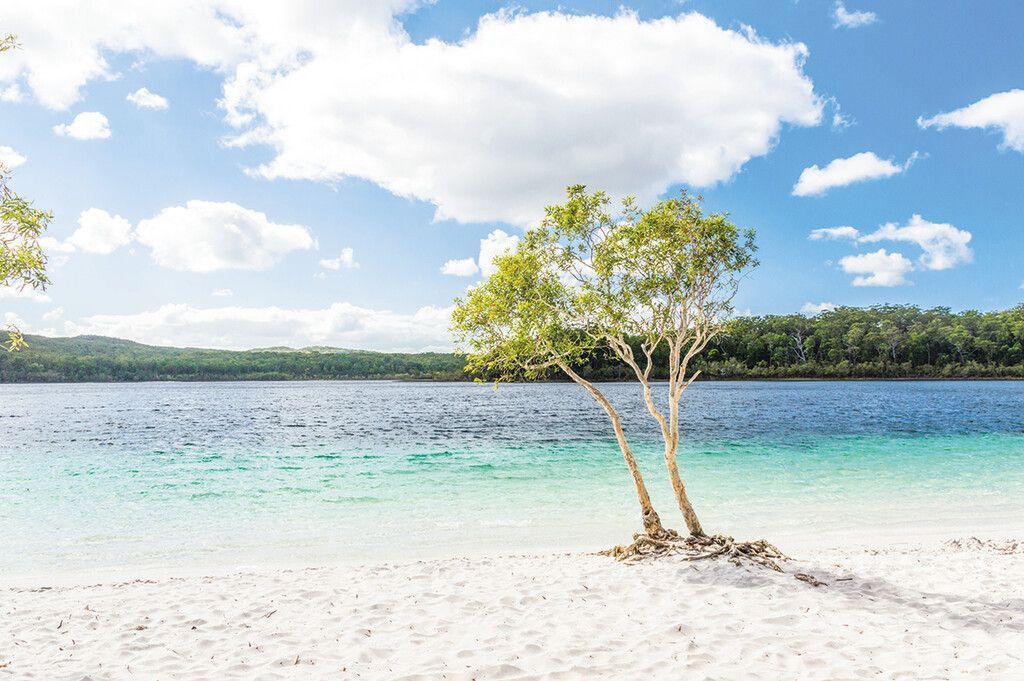 Naturhighlight Lake McKenzie